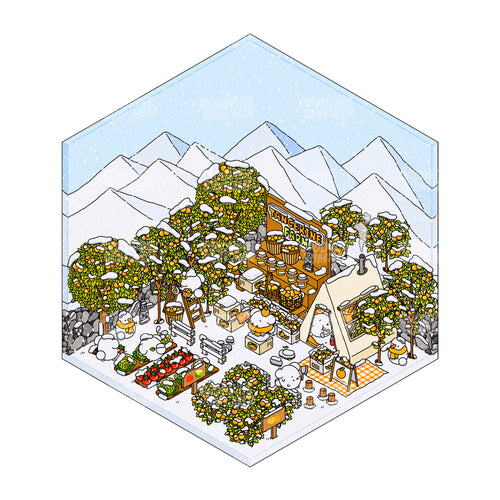 済州みかん農園（冬）