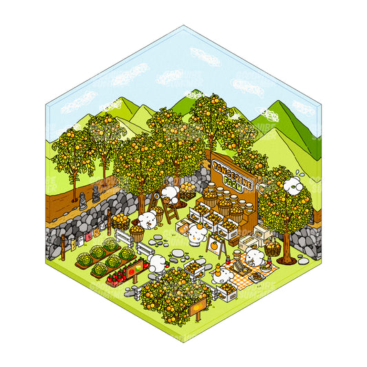 済州みかん農園（夏）